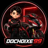 Logo DOCHOIXE99